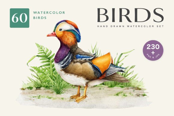 Birds Watercolor Painted Set: A Global Avian Collection