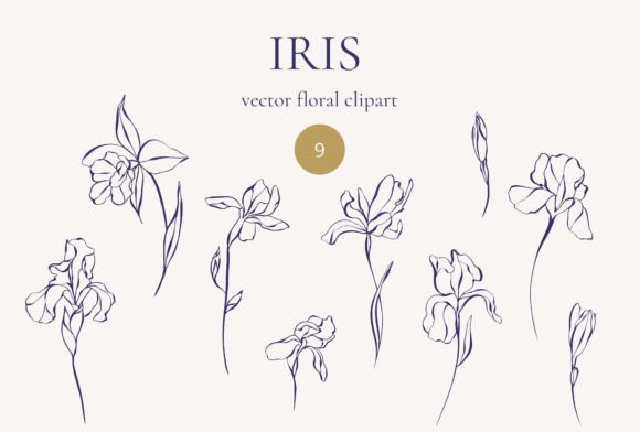 Iris Flowers: Minimalist Vector Line Art for Modern Design