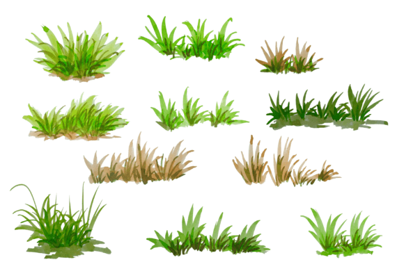 The Organic Appeal of Watercolor Grass Elements