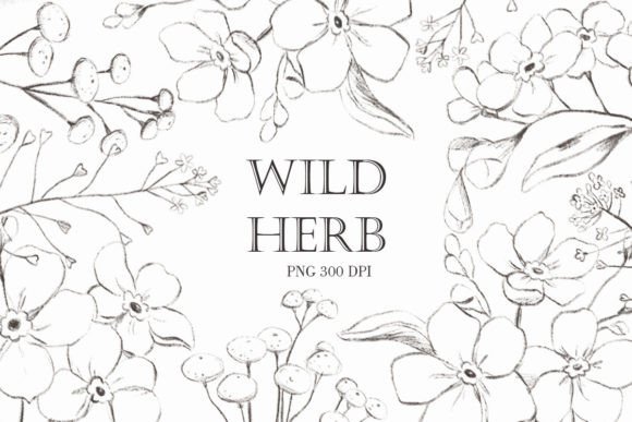 Unearthing Digital Beauty: Wildflower Png. Vintage Flowers