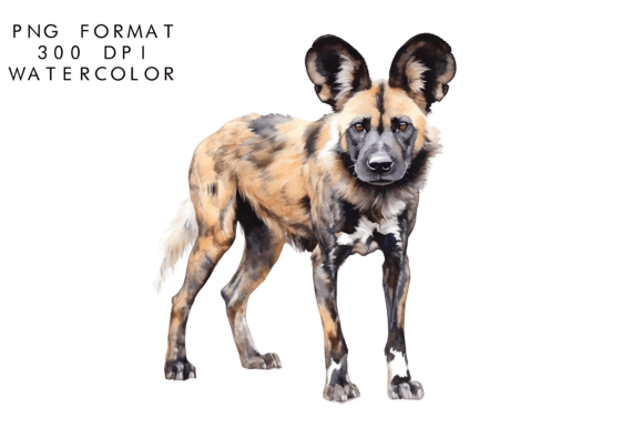 Watercolor African Wild Dog Sublimation: A Design Asset